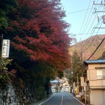 おはようございます。
覗いて観ていただき🫣
ありがとうございます🙂‍↕️