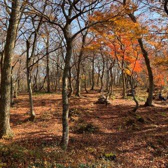 大嶽城跡、小谷山いただき
今年最後の秋を楽しもうと、多くのハイカーで賑わう。