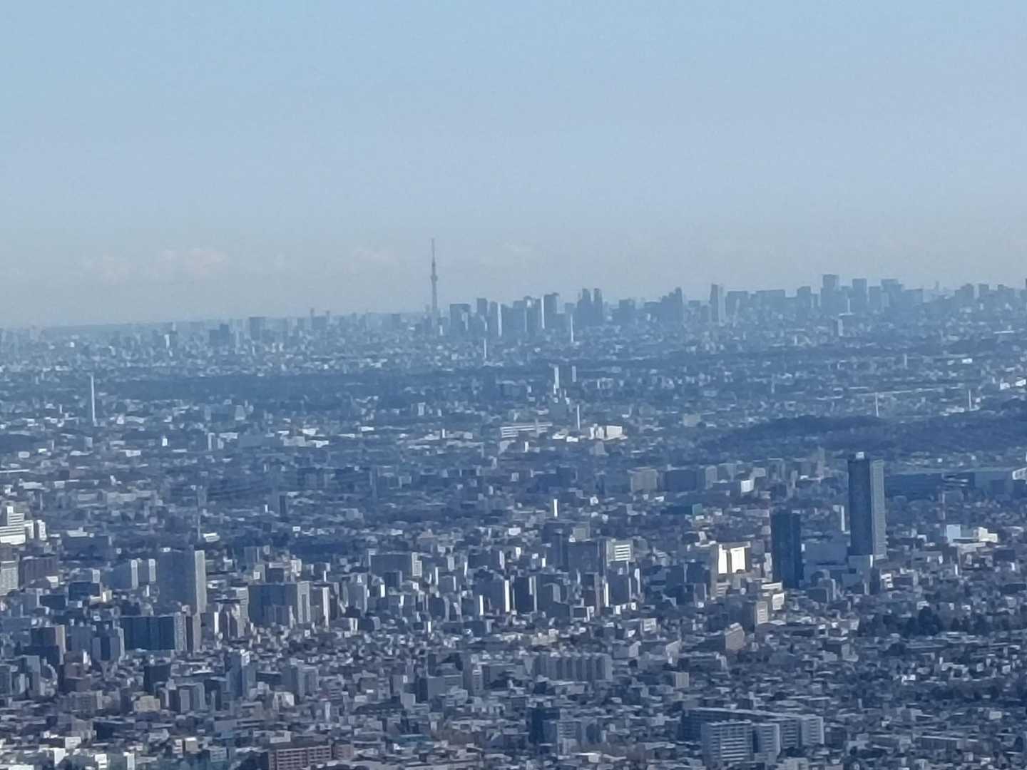 スカイツリーがはっきり見えます