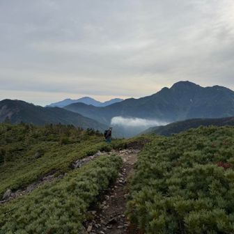 三伏山過ぎた景色。
今から向かう本谷山や塩見岳

景色を堪能したら
塩見岳へ向かいます。雄大な頂はまだ先…
右に見えてるけど遠いな〜