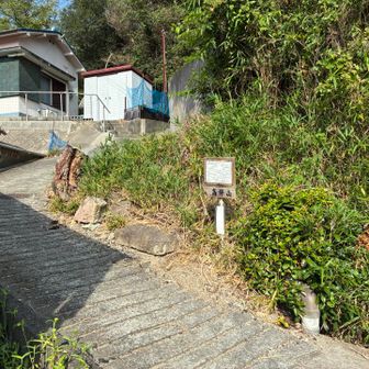 いったん舗装道路まで下りてから次のピークへ