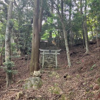 朝立彦神社⛩️