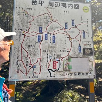 桜平ルート案内