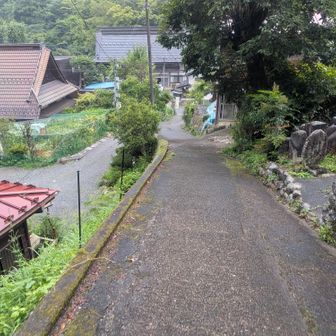 身体は大丈夫なんだけど
裾が草露に濡れて
びっしょり😵
下がる下がる…
腰パンみたい😂