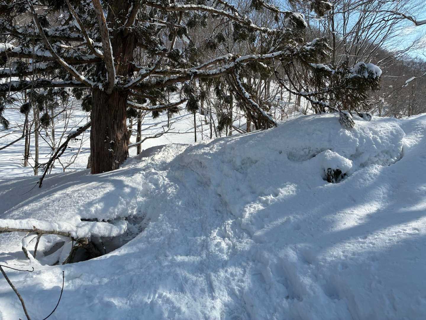 スノーシューを装着して孫六温泉の裏手から山の中に入ります。