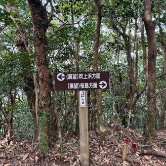 はい到着。すぐです😊