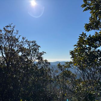 眺望はすこし🤏🏻
天井は抜けていて太陽さんさん