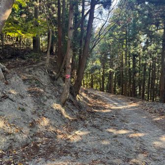 林道出たら左に進みます。歩きやすいのでこっちのほうがいいかも？？