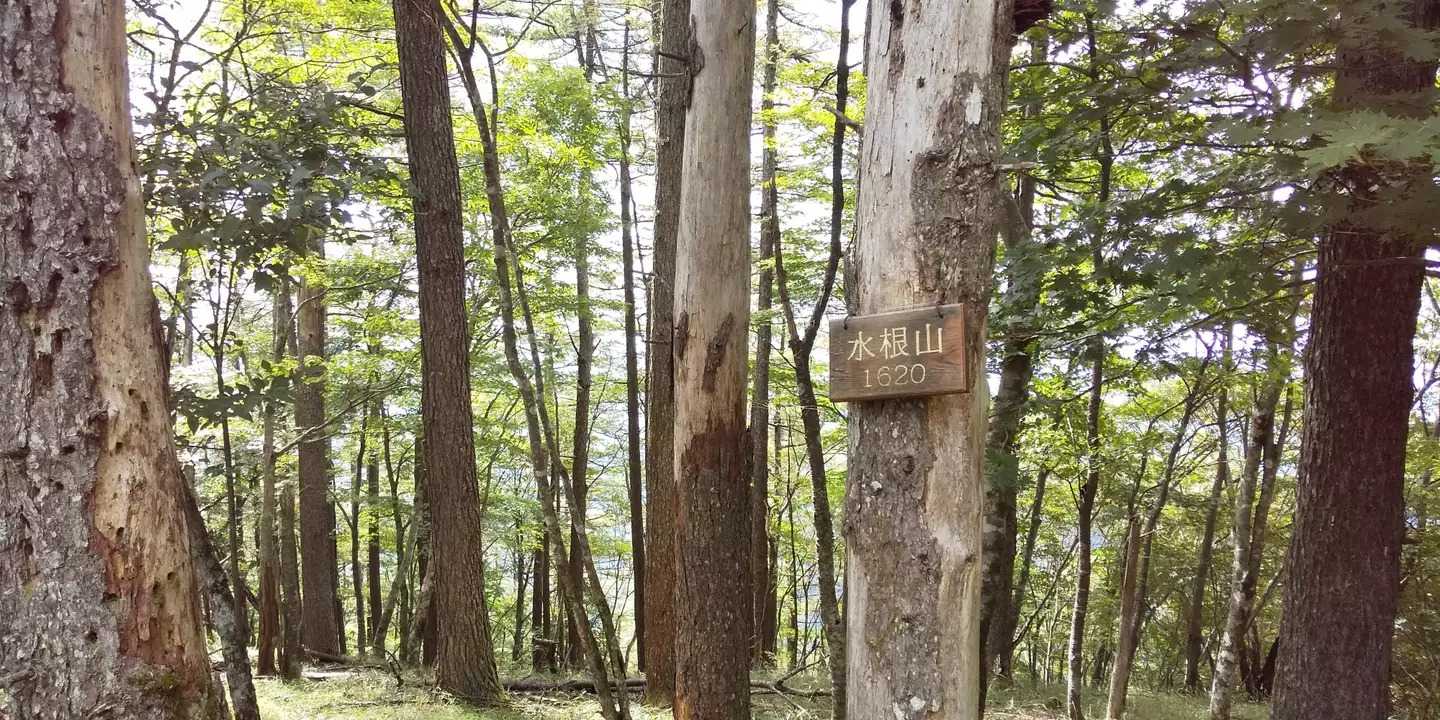 水根山の写真