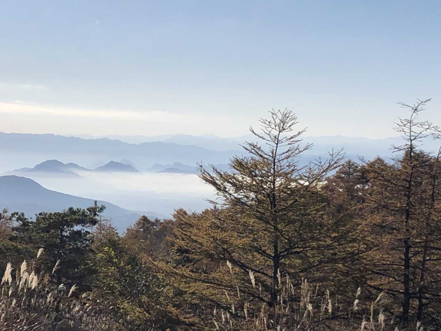 山頂からの眺望