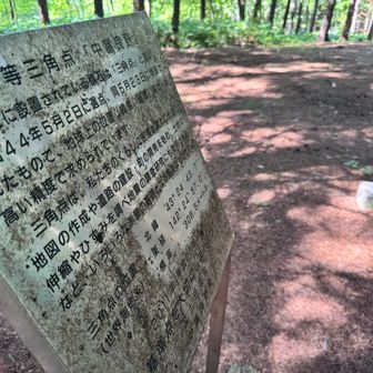 山頂の三角点