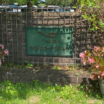 お花好きな方はおすすめです