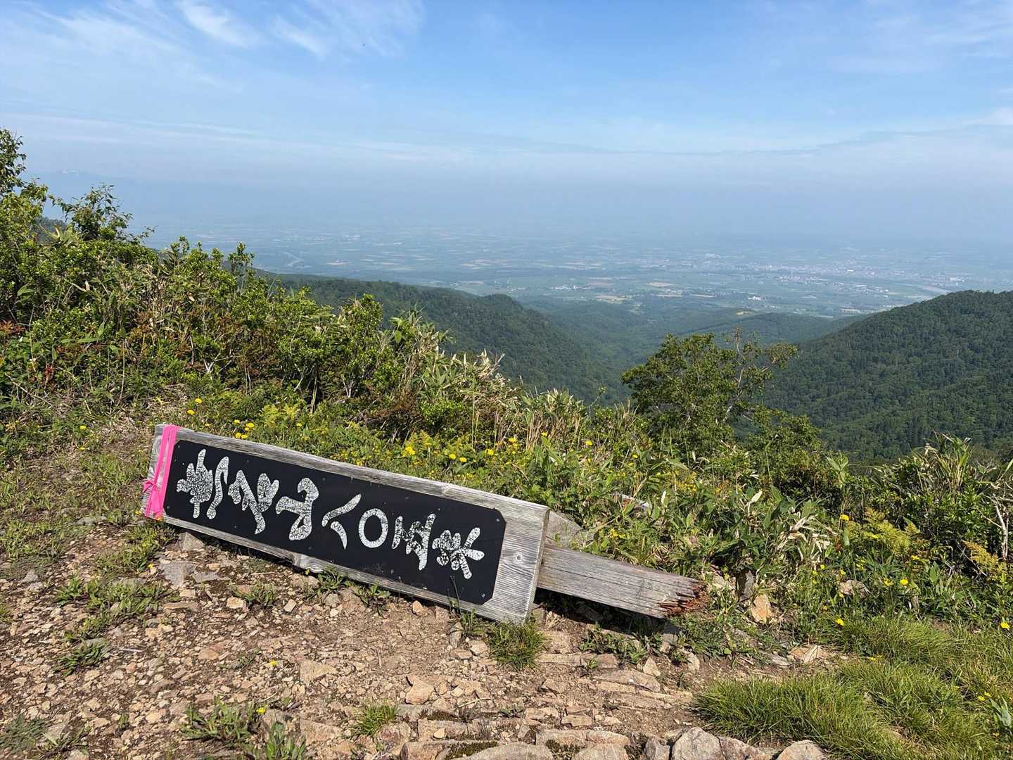 沖里河山-無名山 往復コースの写真