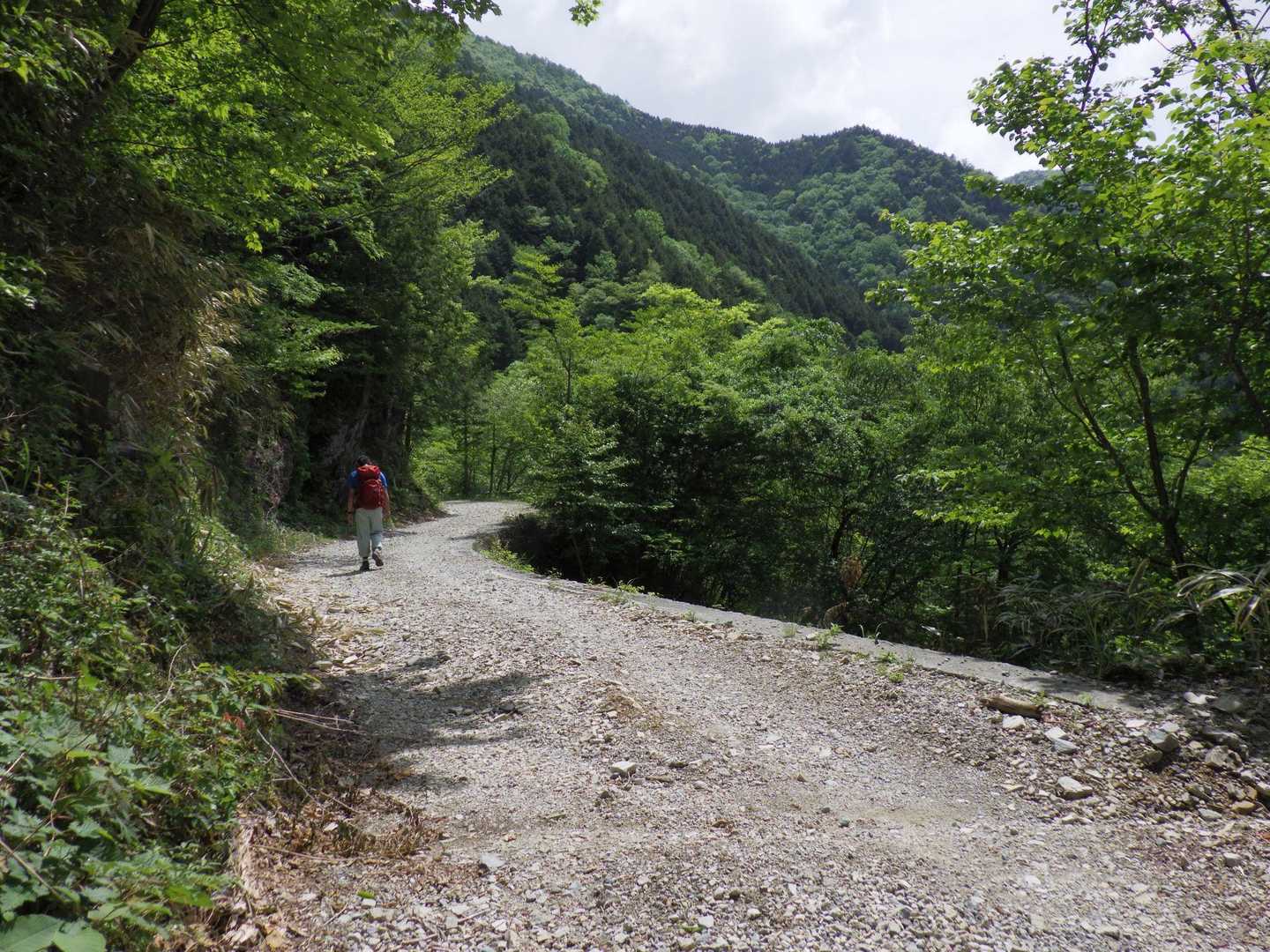 ここもまた登山口まで片道2kmの林道歩き