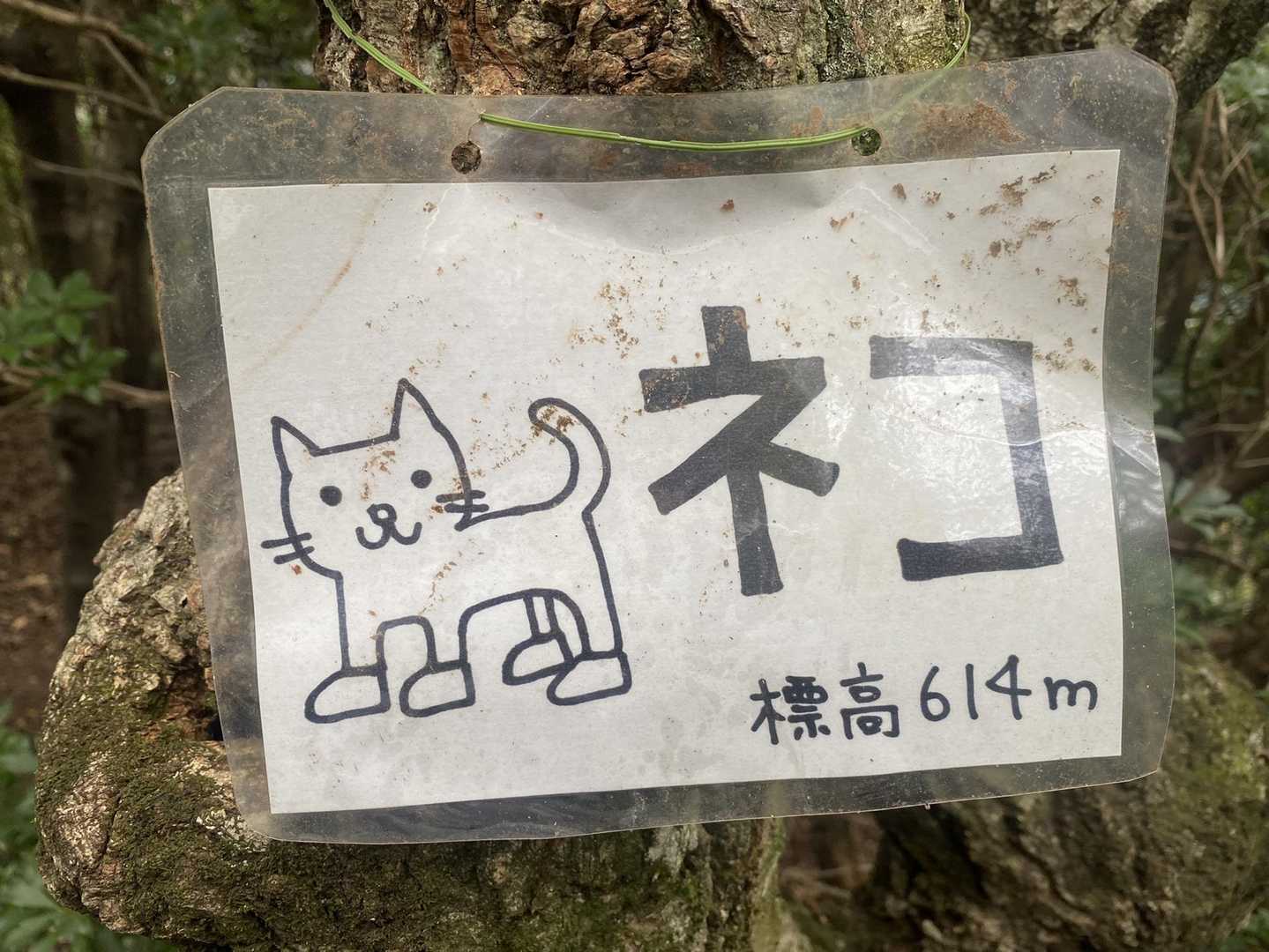 一枚一枚見て、可愛い…😅