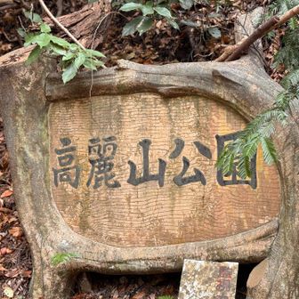 整備された道が歩きやすい