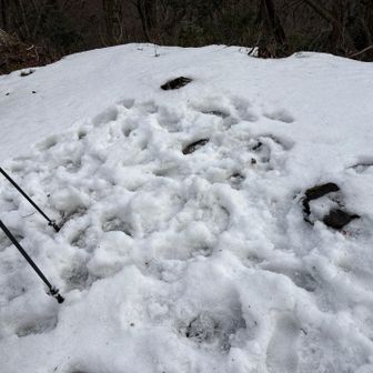 相棒の寒稽古の跡