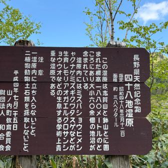 四十八池湿原
長野県天然記念物