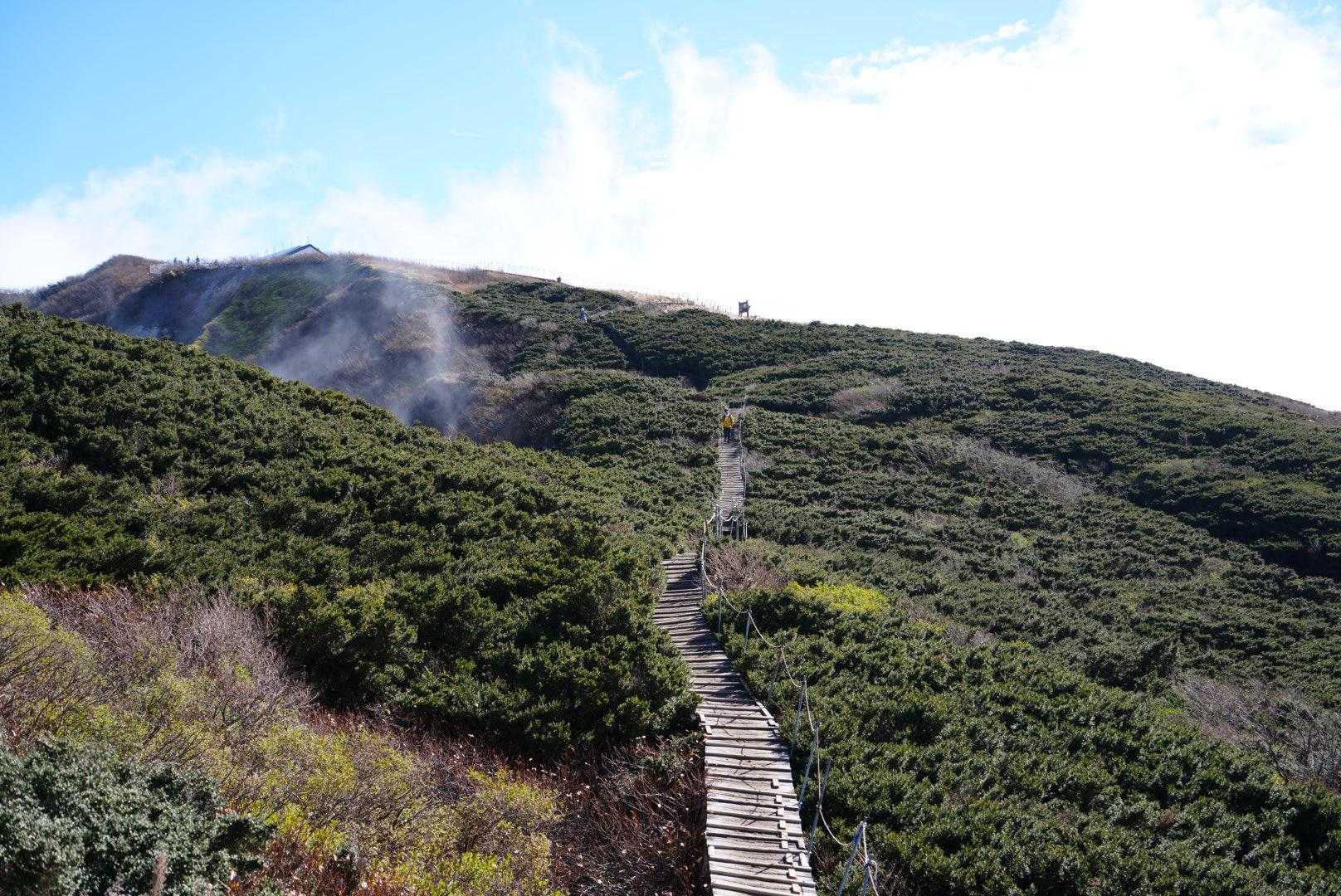 山頂までのビクトリーロードは木道
