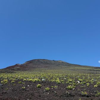 さて足もリラックスさせたので、宝永山に向かいます