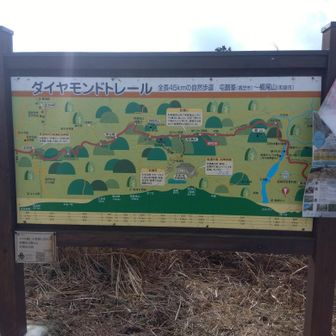 ダイトレコースだあ、いちおう、フツ切れだけどコース制覇してるんですよ