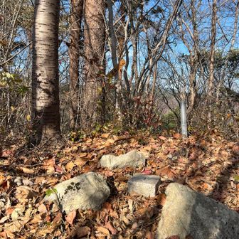一盃森山頂
山名板が斜めだ😢