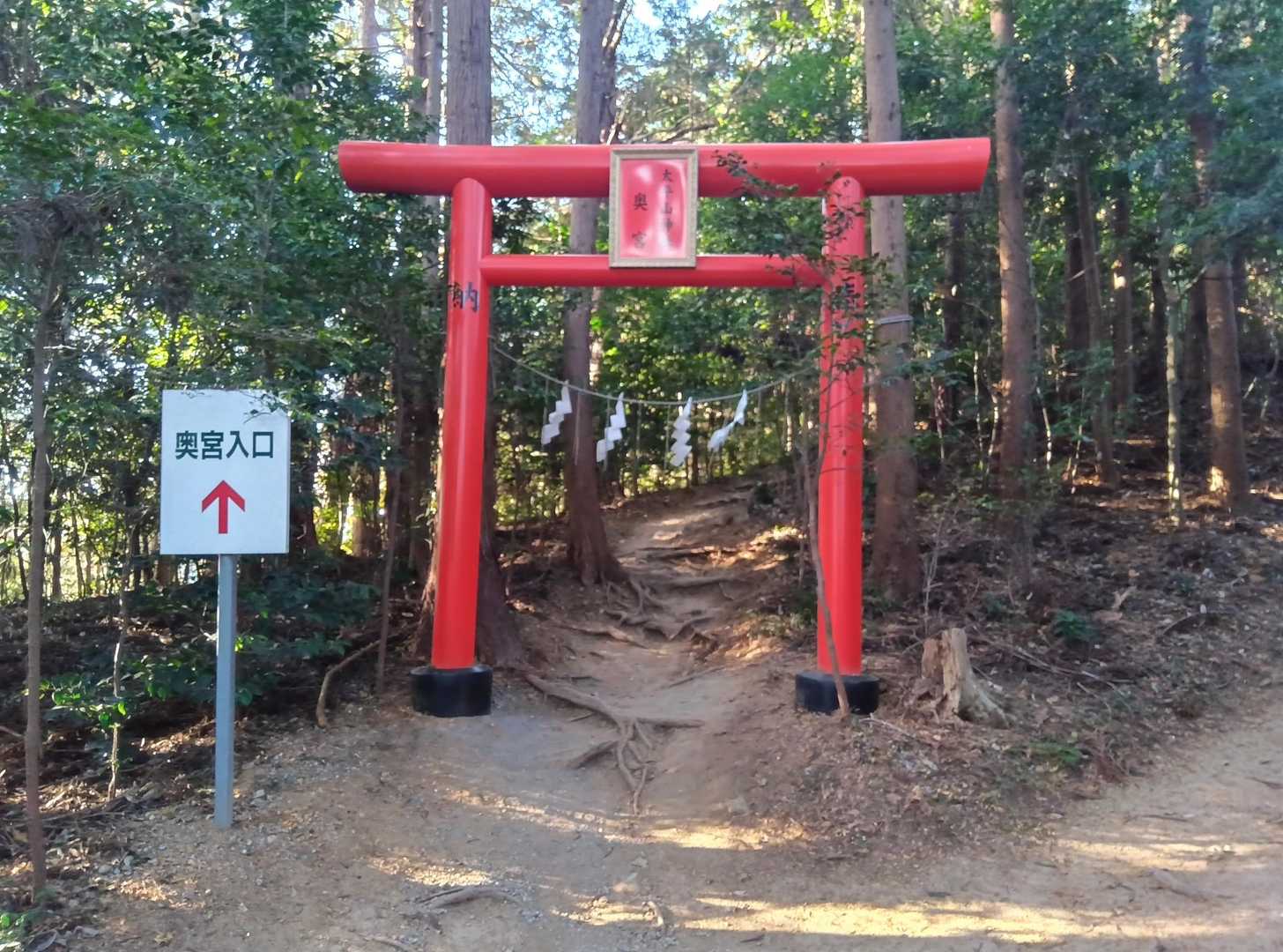 ぐみの木峠 往復コースの写真