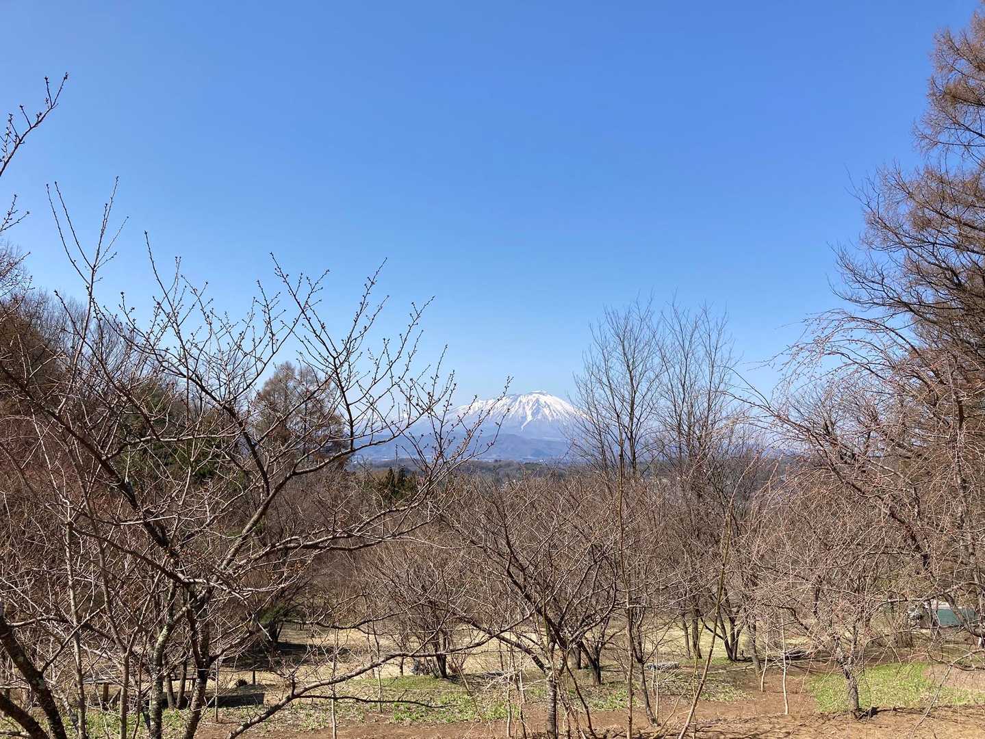 心の目で梅を咲かすのだ…！
見える…見えるぞ…！