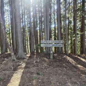 二子山（横瀬二子山雌岳）