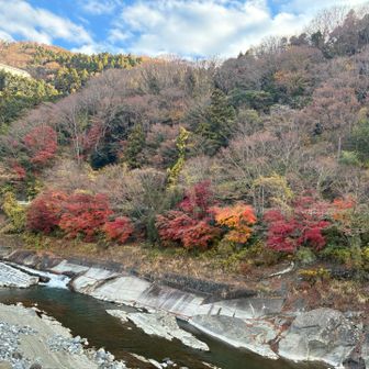 まだ紅葉が綺麗です。谷峨駅から登山口に向かう途中。