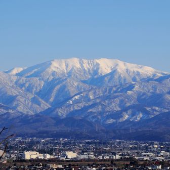 ここからの薬師は秀逸