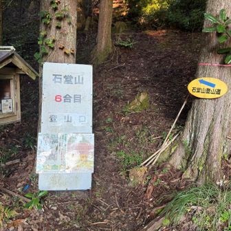 登山口。
横に簡易トイレあります。
使うのは勇気がいる。😅