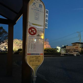 大倉の公園で桜のライトアップしていたが　
行く気力無し！🙇