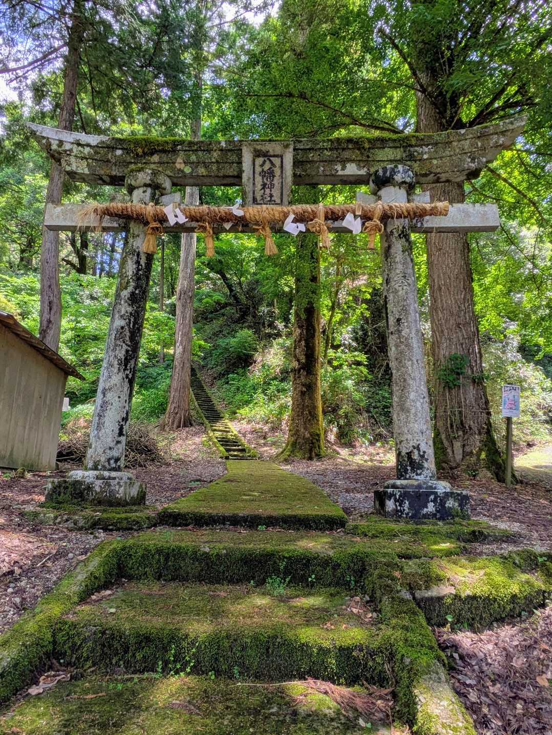 ⛩️苔むした石階段に石鳥居…🤩
馬出しルートはこの八幡神社横からスタートします…
