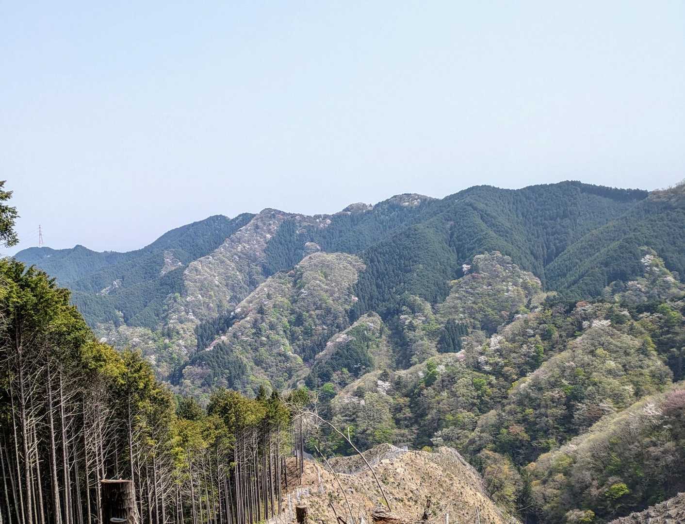 荷田子峠 ・城山・臼杵山登り口-荷田子峠-臼杵山-石津窪山 縦走コースの写真