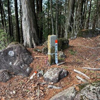 ここが鞍掛山の最高点ですね✨