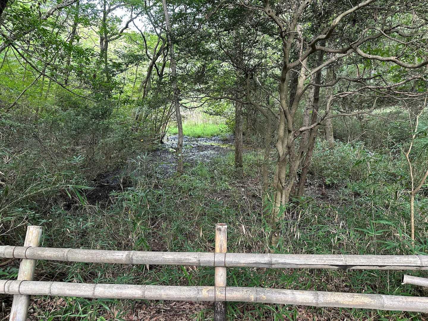 所々に池もあるようです