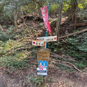 分岐
ここから岩戸山へ