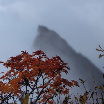 ようちゃん平野