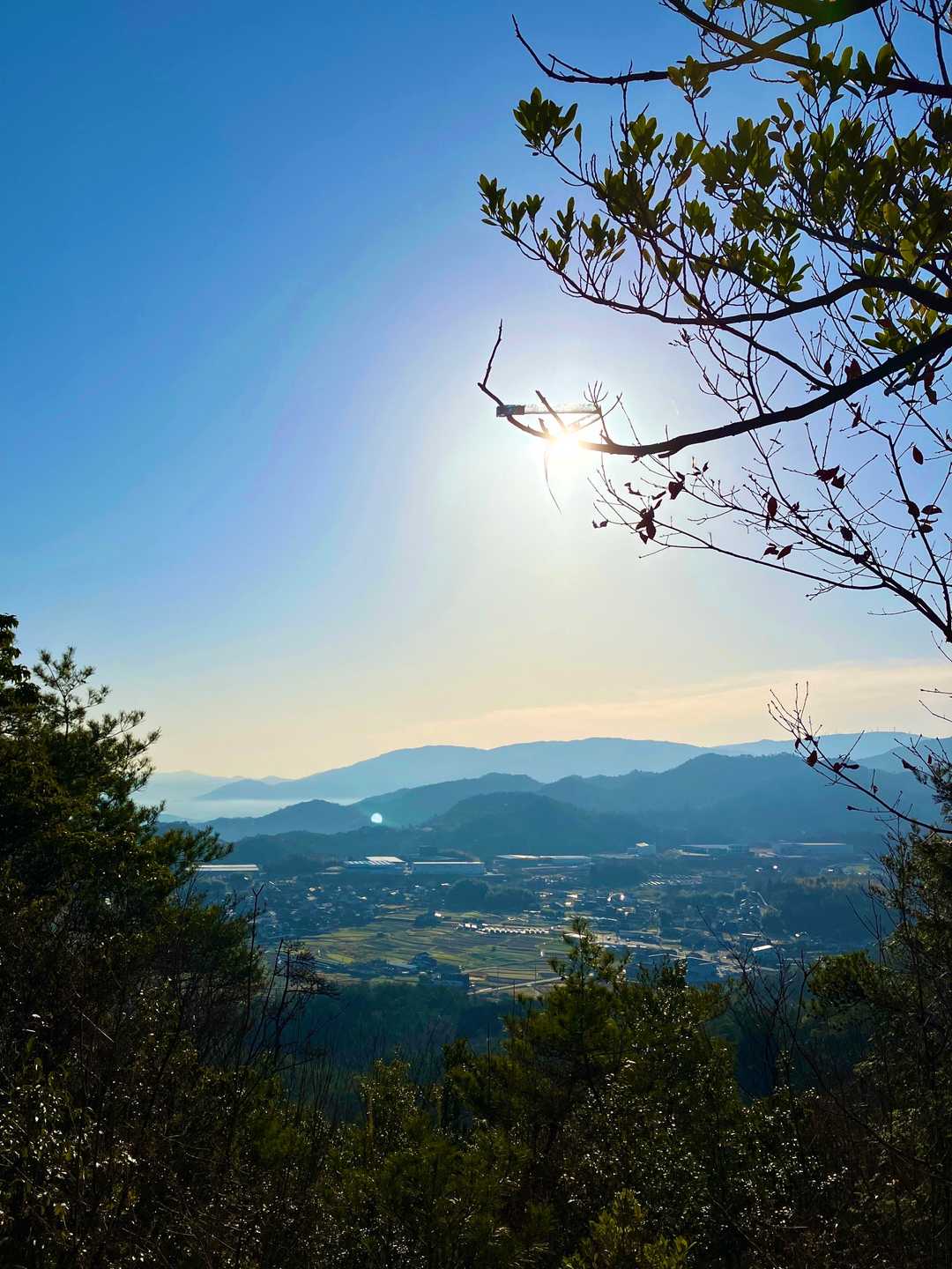 やっぱり八景は本当に眺め良いです(๑´ω`๑)