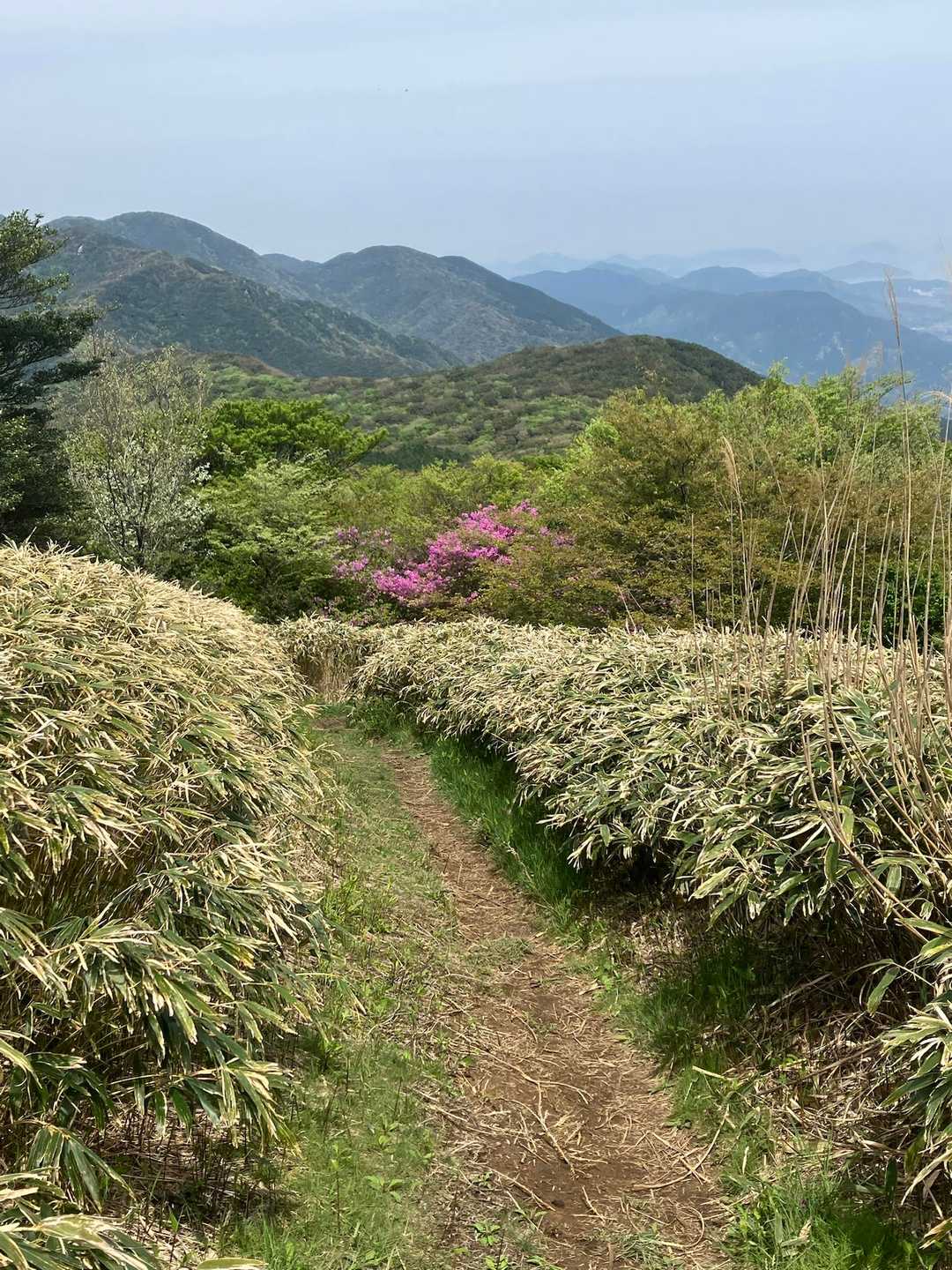 三瀬峠-脊振山 往復コースの写真