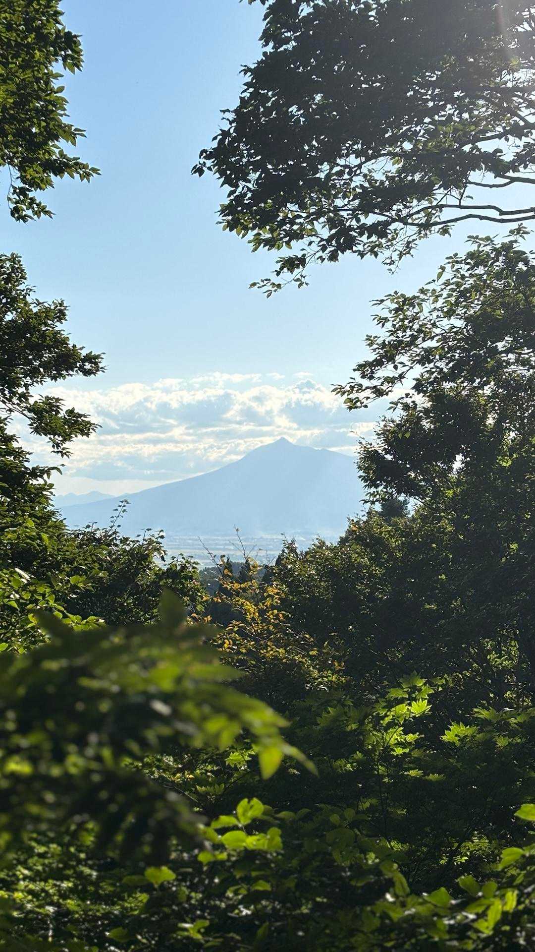 梵珠山 周回コースの写真
