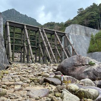裏道登山道からスタート
あれ？これもゴジラ岩なんや