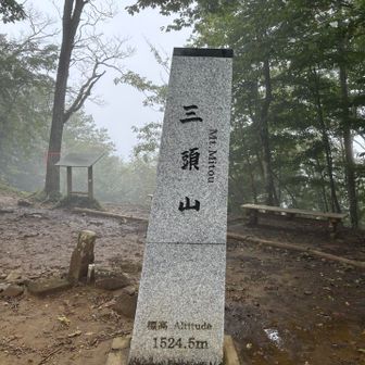 150座🙌　三頭山（西峰）

日本三百名山は中央峰みたいですが、立派な山名標柱は西峰にありました！なんでだろう🤔