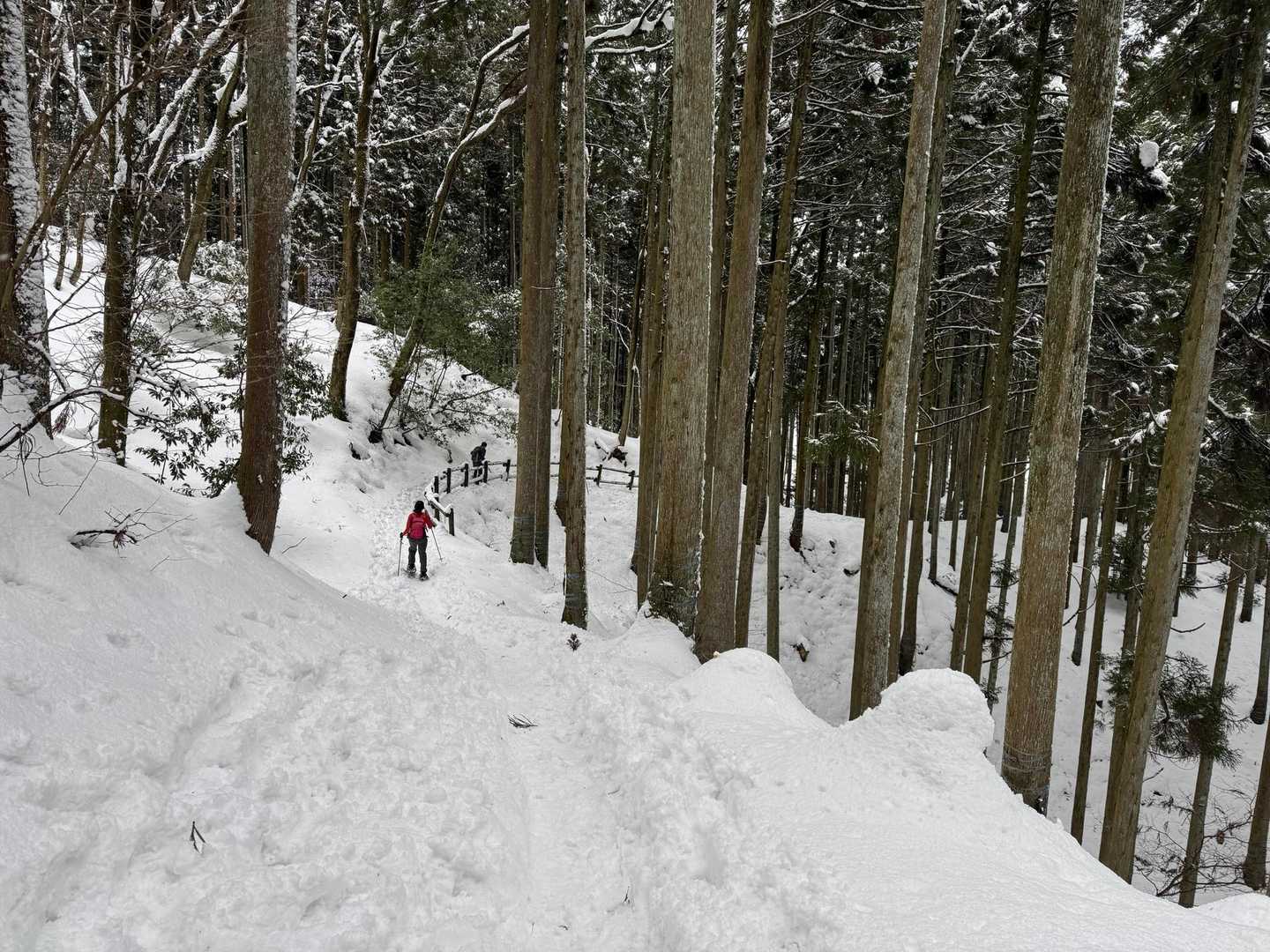 こんな所でこんなに雪が積もるなんて、楽しい✌️