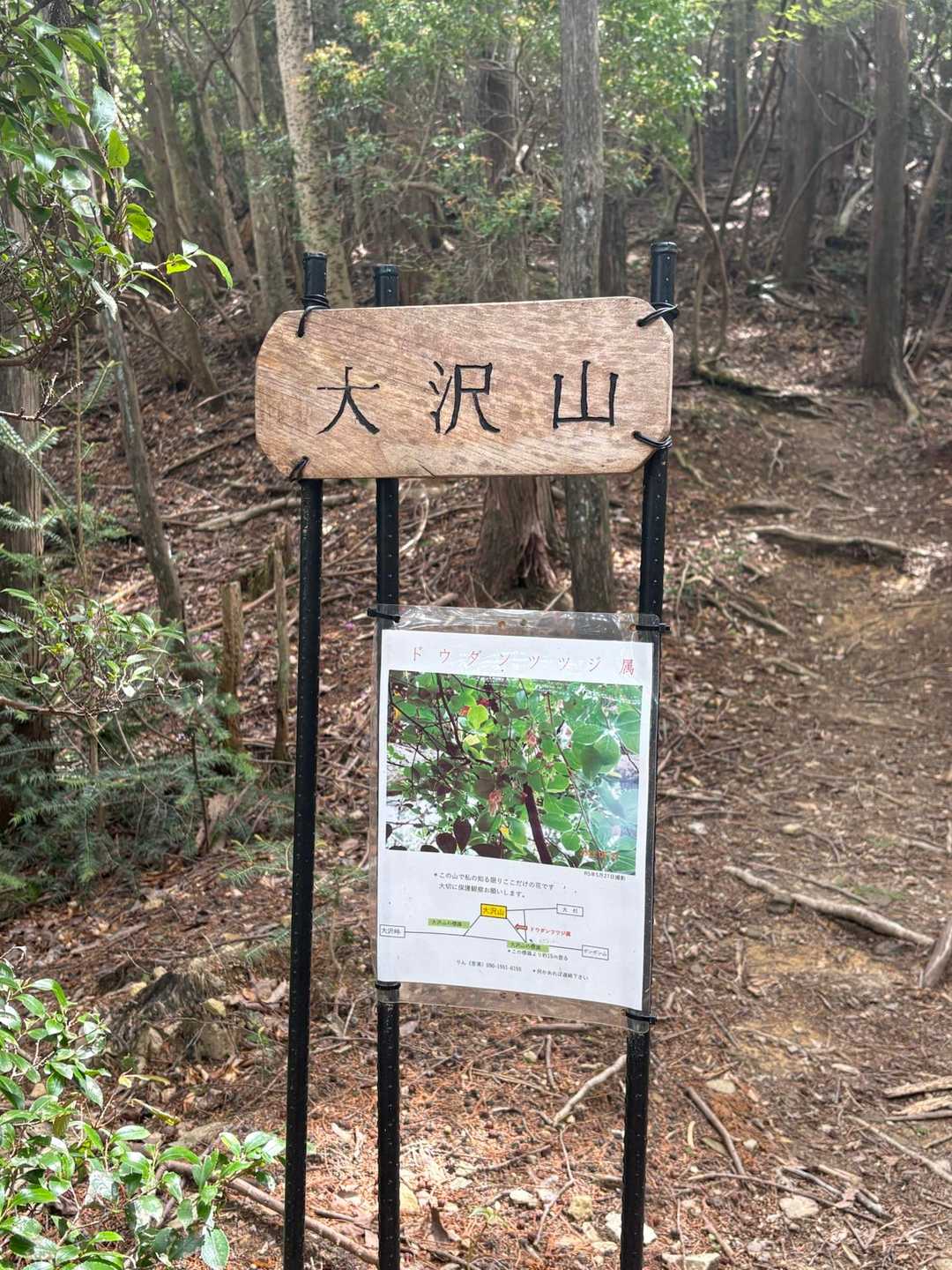 大沢山の山頂標識見つけれなかったからコレで