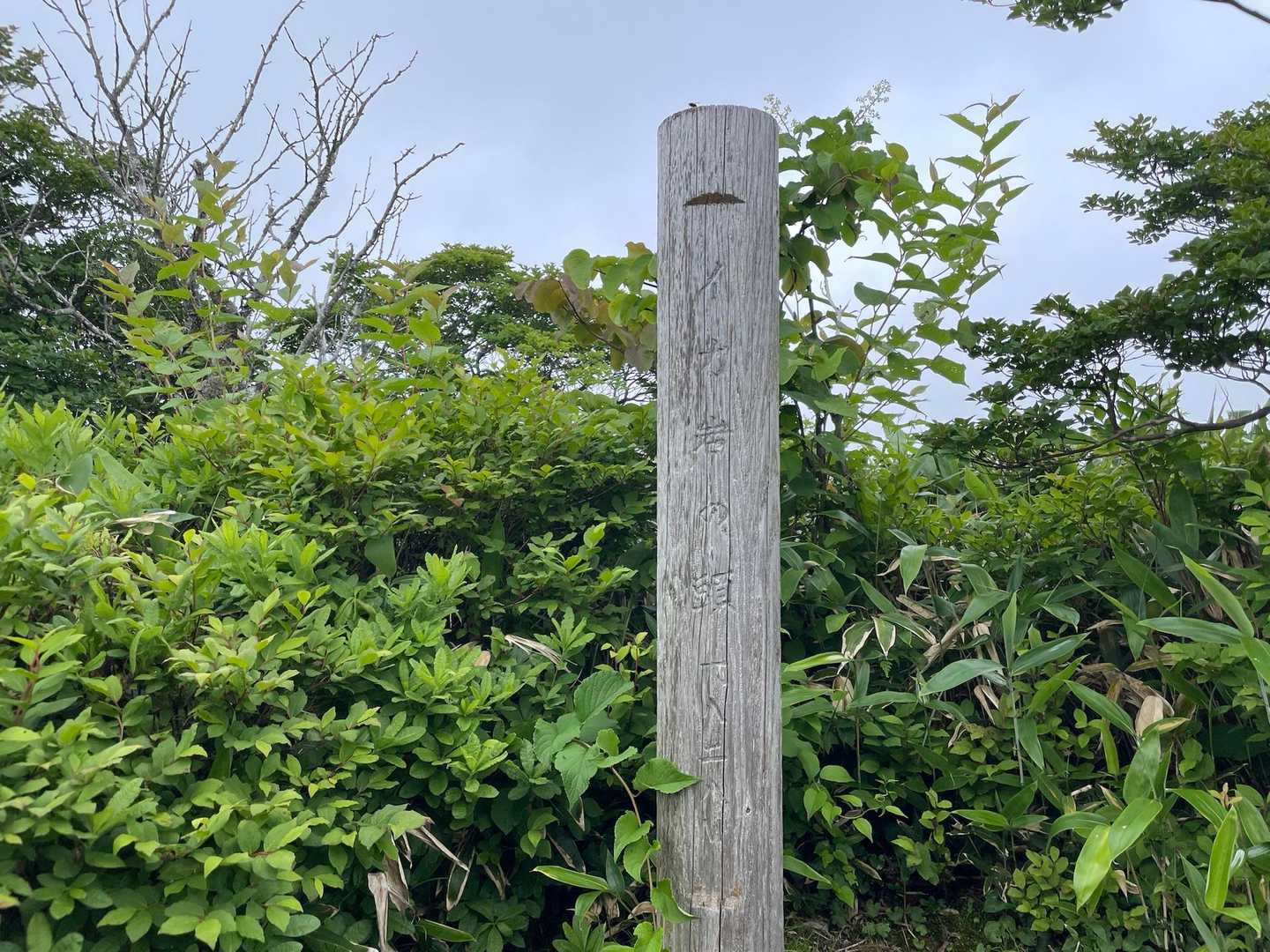 イカイワの頭に着きました〜
このあと同じツアーの人とすれ違い、集合時間をもう1度確認しました。3時半でした。