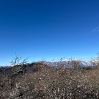 木が少々じゃま💦