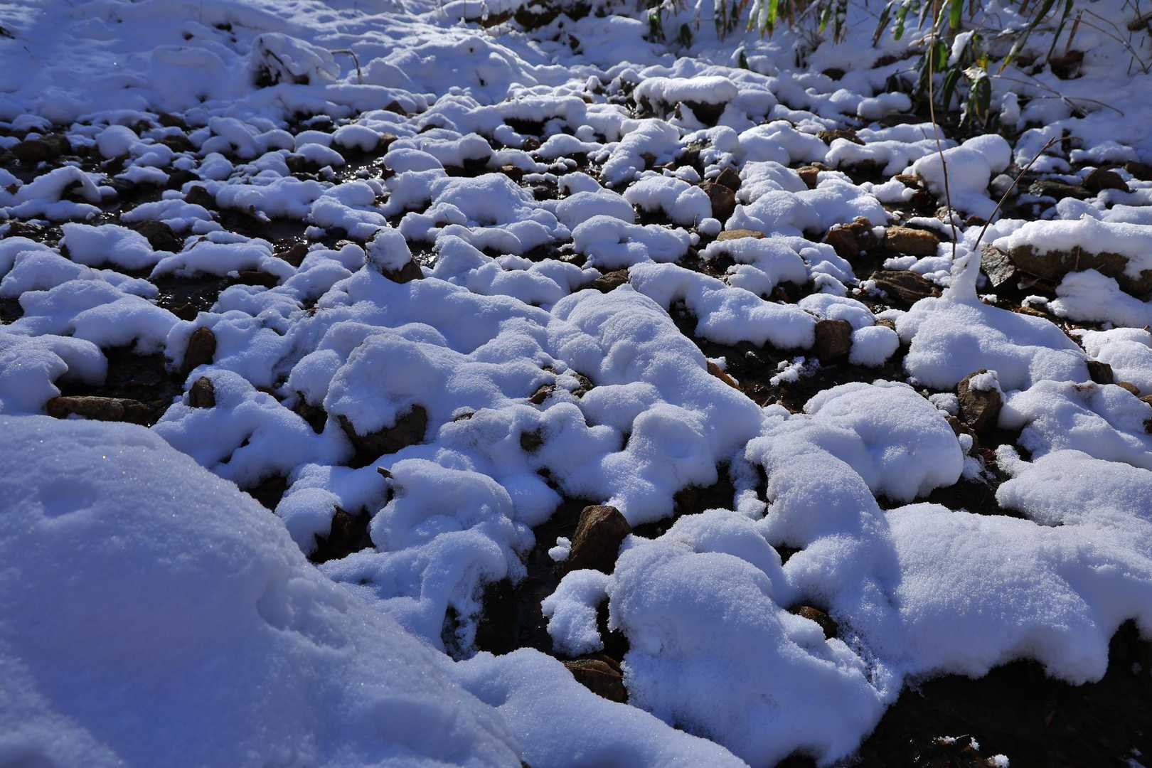 もこもこふわふわ❄️