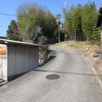 丹生山の登り口。ここも突き当りの配水池まで舗装されてます